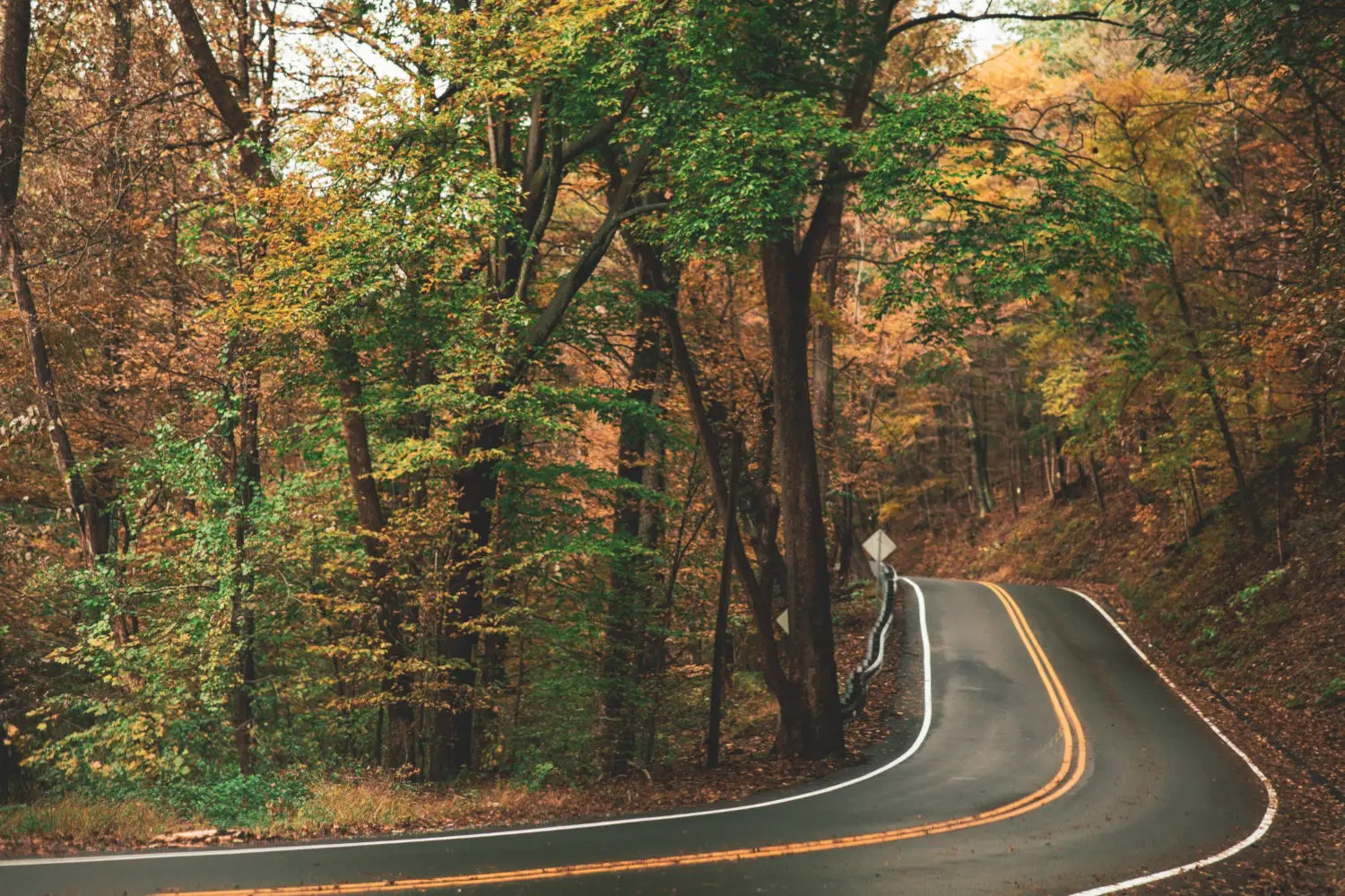 The 4 Most Beautiful Hocking Hills Roads You Must Drive