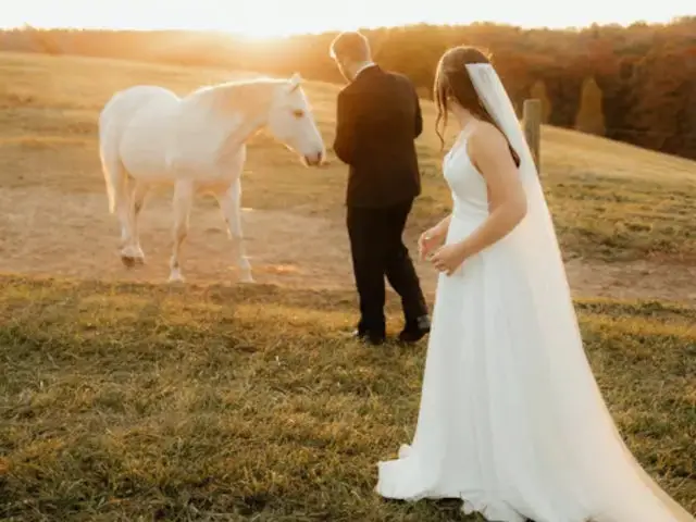 Weddings Elopements